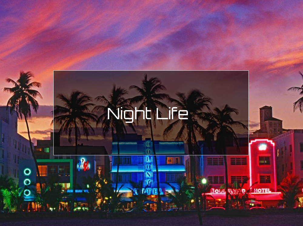 Night Life