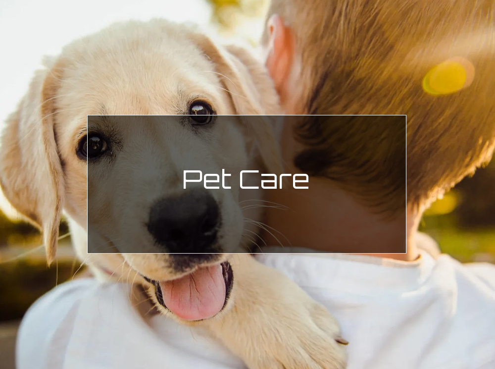 Pet Care